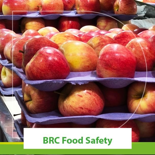 Certificación BRC dosal