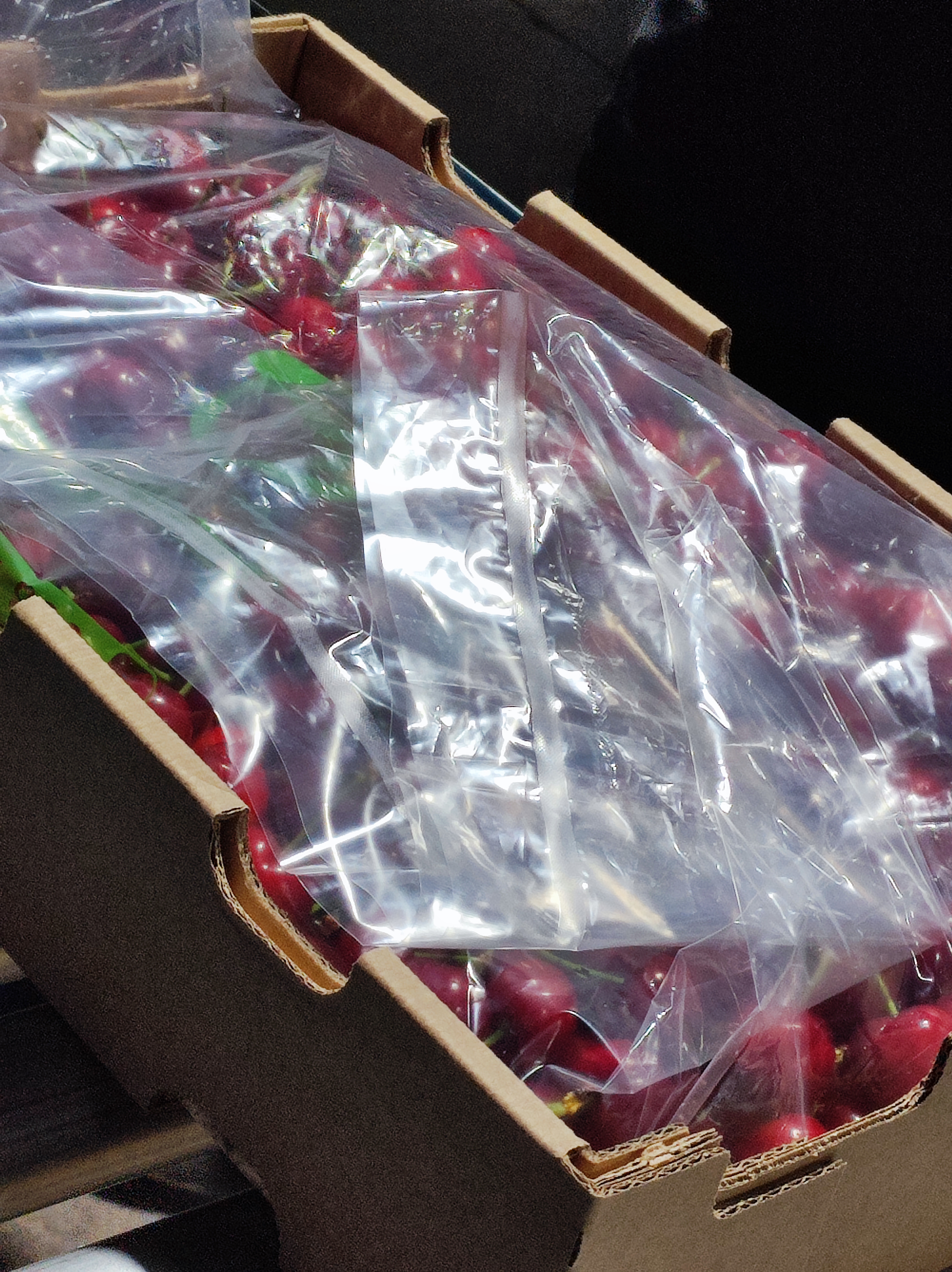 Packaging cherries premium