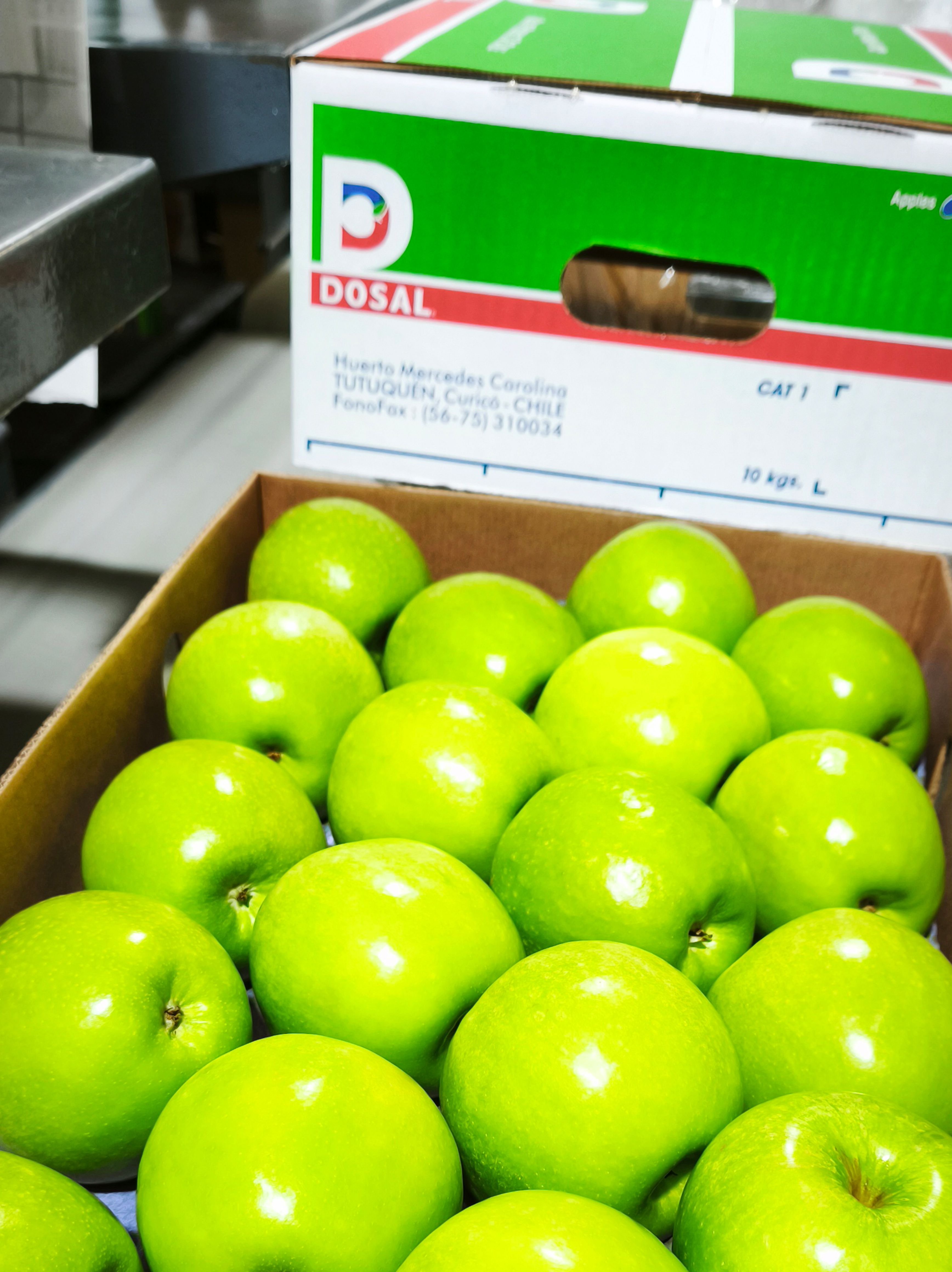 Packaging manzanas dosal